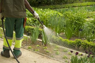 Mejores Jardines de Sevilla