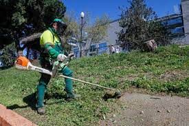 cortador de cesped monky green