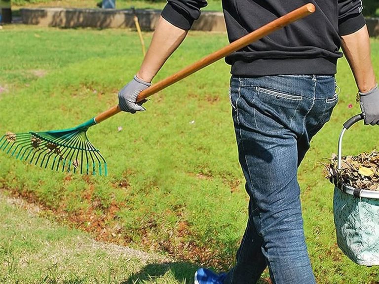 ¿Cómo preparar tu jardín para la primavera sevillana?